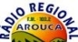 Radio Regional de Arouca